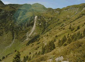 Gaisstein - Höchster Grasberg Europas