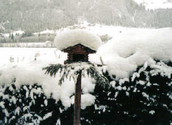 Verzauberte Winterlandschaft